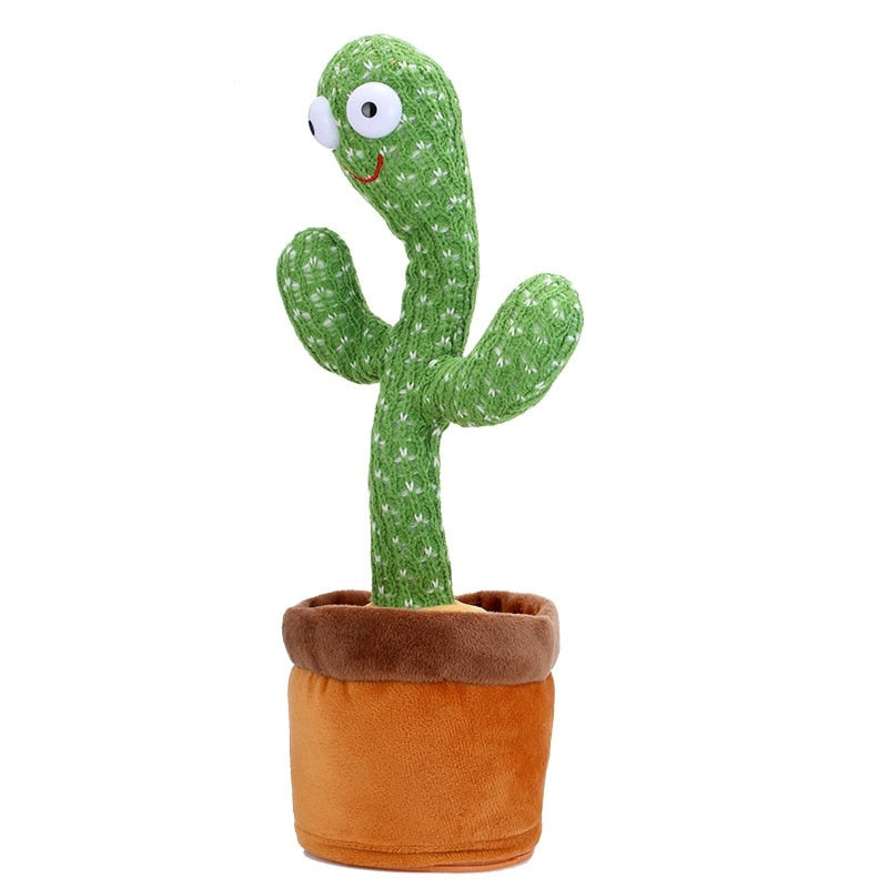 TuniCacti : Cactus Dansan